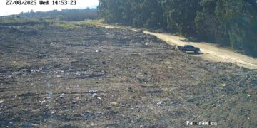 Saldungaray: Inician sumario contravencional por arrojar residuos en camino vecinal