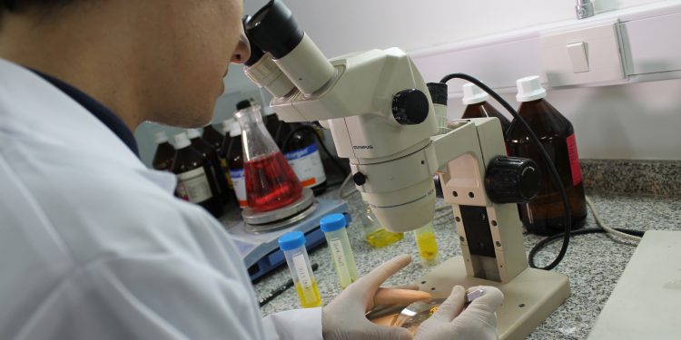 Ciencia y tecnología: la Provincia impulsa redes federales de investigación con universidades