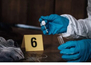 Aprobaron un protocolo para recolectar muestras de ADN en escenas del hecho