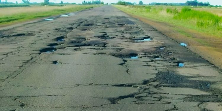 Recortes en Vialidad: advierten que mueren 16 personas por día en siniestros al volante