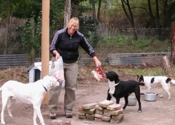 «Un largo camino»:  Una historia de pasión y dedicación en Sierra de la Ventana