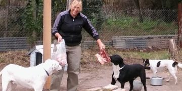 «Un largo camino»: Una historia de pasión y dedicación en Sierra de la Ventana