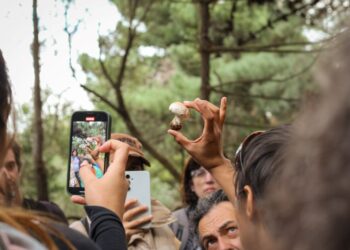 Setas, bosque y mar: la trilogía de un destino perfecto