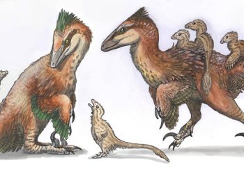 Mientras la política ignora la ciencia, los científicos sostienen el rastro de los dinosaurios