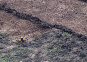 El desguace como política de Estado: las regresiones socioambientales del gobierno libertario