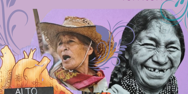 Vecinas en el Aire: Hoy «ecofeminismo».