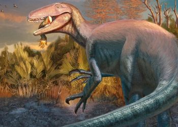 Descubrieron en Chubut un dinosaurio carnívoro que habría sido de los últimos en extinguirse