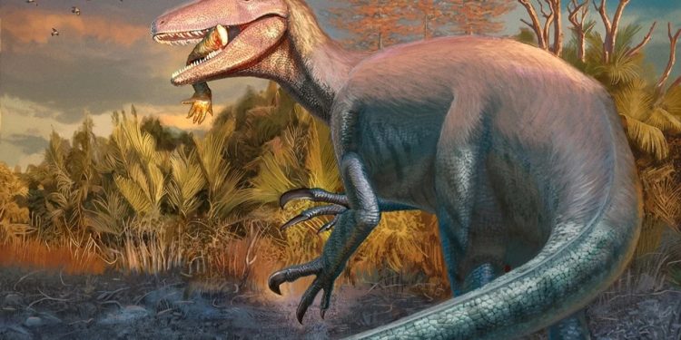 Descubrieron en Chubut un dinosaurio carnívoro que habría sido de los últimos en extinguirse
