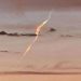 El luminoso objeto que sorprendió en el cielo: «Lo que se vio es un meteoro que podría ser considerado un bólido»