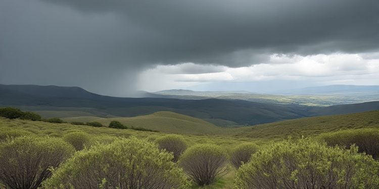 Fin de semana con cambios climáticos: viento, lluvias y temperaturas variables