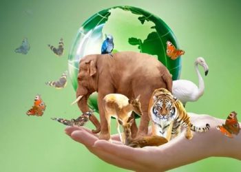 Día Mundial de los Animales: ¿por qué se celebra el 4 de octubre?