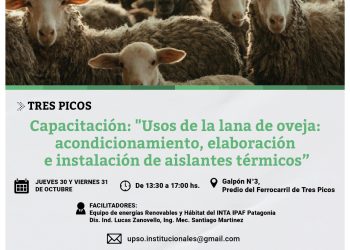 Se dictará la capacitación ‘Usos de la lana de oveja: acondicionamiento, elaboración e instalación de aislantes térmicos’