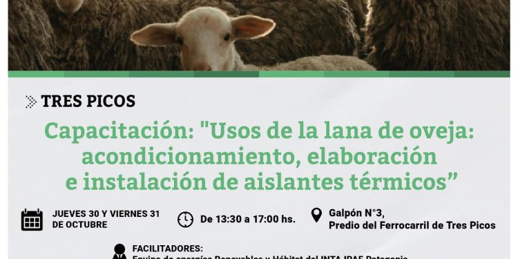 Se dictará la capacitación ‘Usos de la lana de oveja: acondicionamiento, elaboración e instalación de aislantes térmicos’