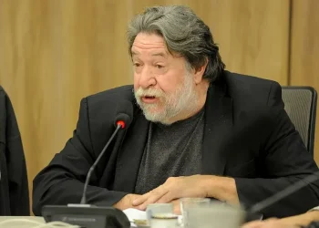 Lozano afirmó en que sobran los motivos para un juicio político contra Milei