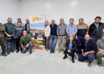 Cooperativa Apícola Tornquist: De la Crisis del 2001 al Proyecto de Marca Propia y Sala de Extracción