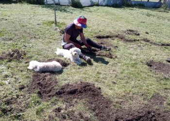 Conectando con la tierra: la huerta agroecológica de Marilú Felice en Sierra de la Ventana