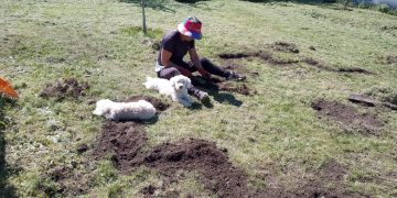 Conectando con la tierra: la huerta agroecológica de Marilú Felice en Sierra de la Ventana