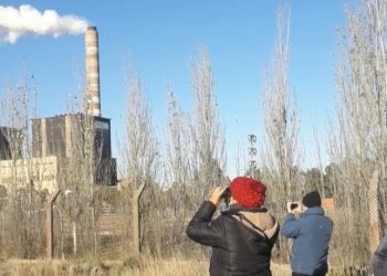 Habrá que confiar? Articulo de Silice