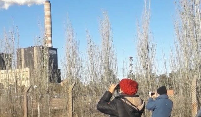 Habrá que confiar? Articulo de Silice