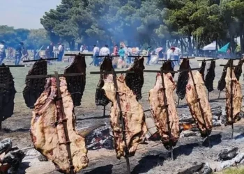 Se viene el Encuentro de Fiestas Gastronómicas del Sudoeste Bonaerense en la UNS