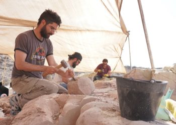 Tras la expedición en el fondo del mar, el CONICET buscará dinosaurios «en vivo» en la Patagonia