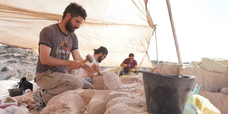 Tras la expedición en el fondo del mar, el CONICET buscará dinosaurios «en vivo» en la Patagonia