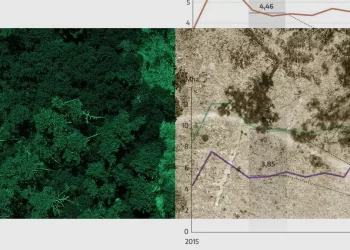 La destrucción de selva virgen en el mundo casi se dobla en un año
