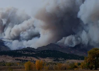 El dióxido de carbono alcanzó niveles récord en 2024