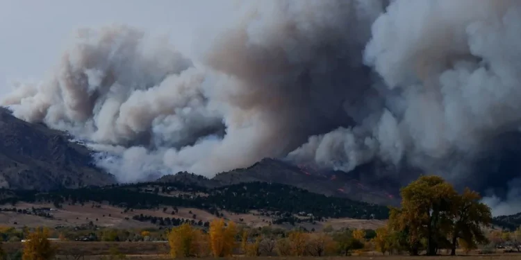 El dióxido de carbono alcanzó niveles récord en 2024