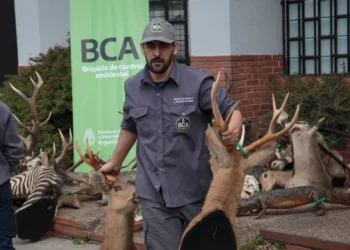 Reconocimiento Global: Argentino Emiliano Villegas recibirá el máximo galardón por desmantelar una red de tráfico de fauna 