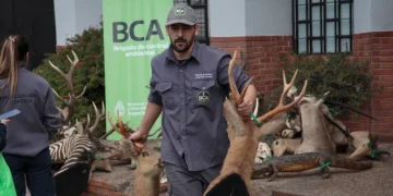 Reconocimiento Global: Argentino Emiliano Villegas recibirá el máximo galardón por desmantelar una red de tráfico de fauna