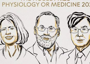 Premio Nobel de Medicina 2025 para los descubridores de las células guardianas del sistema inmunitario