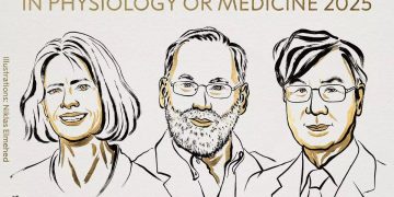 Premio Nobel de Medicina 2025 para los descubridores de las células guardianas del sistema inmunitario