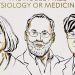 Premio Nobel de Medicina 2025 para los descubridores de las células guardianas del sistema inmunitario