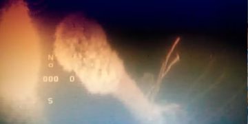 Las huellas de los nazis en Argentina: el Senado reconoció el descubrimiento del submarino hundido en Necochea