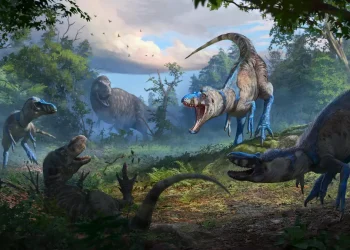 Resuelven el misterio de los ‘tiranosaurios enanos’: no eran jóvenes ‘T. rex’, sino una especie diez veces más chica