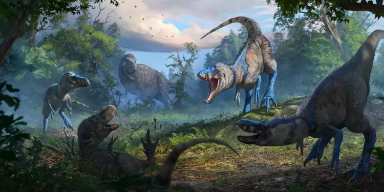 Resuelven el misterio de los ‘tiranosaurios enanos’: no eran jóvenes ‘T. rex’, sino una especie diez veces más chica