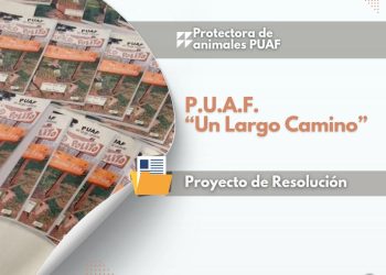 Proponen al libro de PUAF de interés Comunitario Municipal