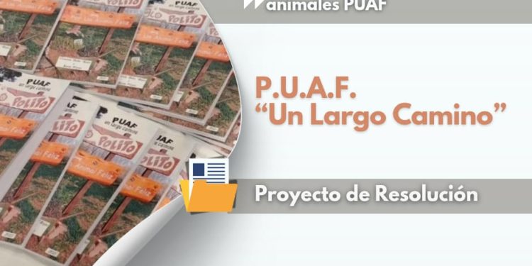 Proponen al libro de PUAF de interés Comunitario Municipal