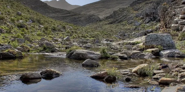 Kengo Kuma elige Sierra de la Ventana para su primer Proyecto Monumental en Argentina