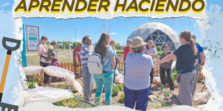 Aprender haciendo’: Jornada de huerta abierta para la comunidad