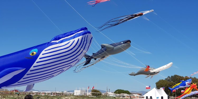 Récord turístico y apertura de temporada: Maximiliano Brunengo confirma 90% de ocupación y detalla la fiesta de Diciembre