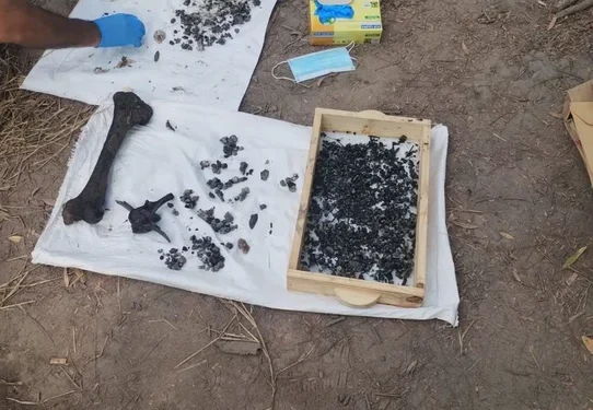 Cecilia Strzyzowski tendrá certificado de defunción y le darán a su madre las cenizas halladas