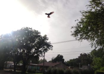 Cielo ceniciento por polvo patagónico: Martes templado en Sierra de la Ventana, previo a una fuerte amplitud térmica