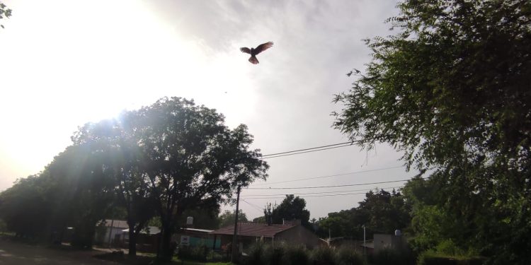 Cielo ceniciento por polvo patagónico: Martes templado en Sierra de la Ventana, previo a una fuerte amplitud térmica