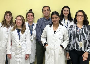 Científicos argentinos descubren un mecanismo que podría proteger a las células que producen insulina