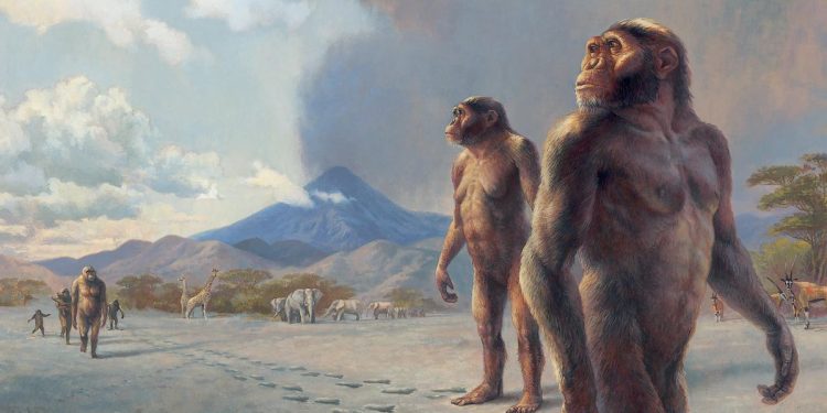 Un misterioso ancestro humano coexistió con Lucy y caminaba erguido con ‘pies de gorila’
