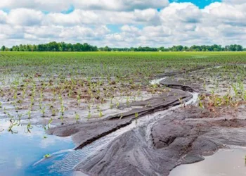 Tormentas e inundaciones en provincia de Buenos Aires: beneficios para productores de 19 distritos con Tornquist incluido