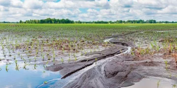 Tormentas e inundaciones en provincia de Buenos Aires: beneficios para productores de 19 distritos con Tornquist incluido
