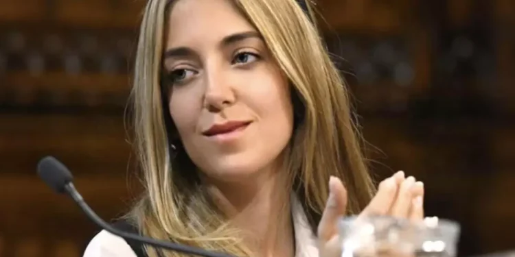 Renunció la funcionaria involucrada en el escándalo de la ANDIS a la que le encontraron US$ 700.000